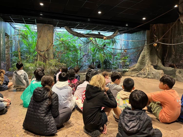 the backs of students sitting to a speaker at Taronga zoo